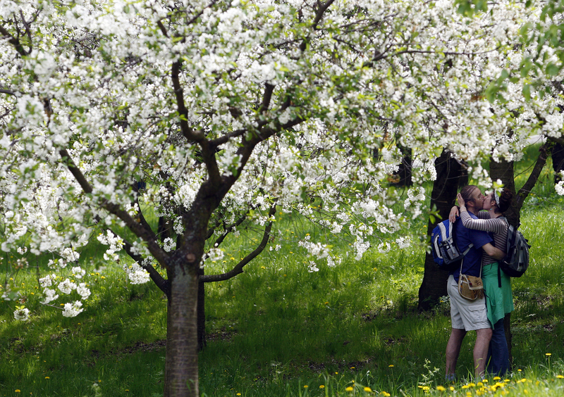 Our version of St. Valentine´s Day is much simplier:) May 1st in Prague. Photo: Jan Handrejch (Novinky.cz)