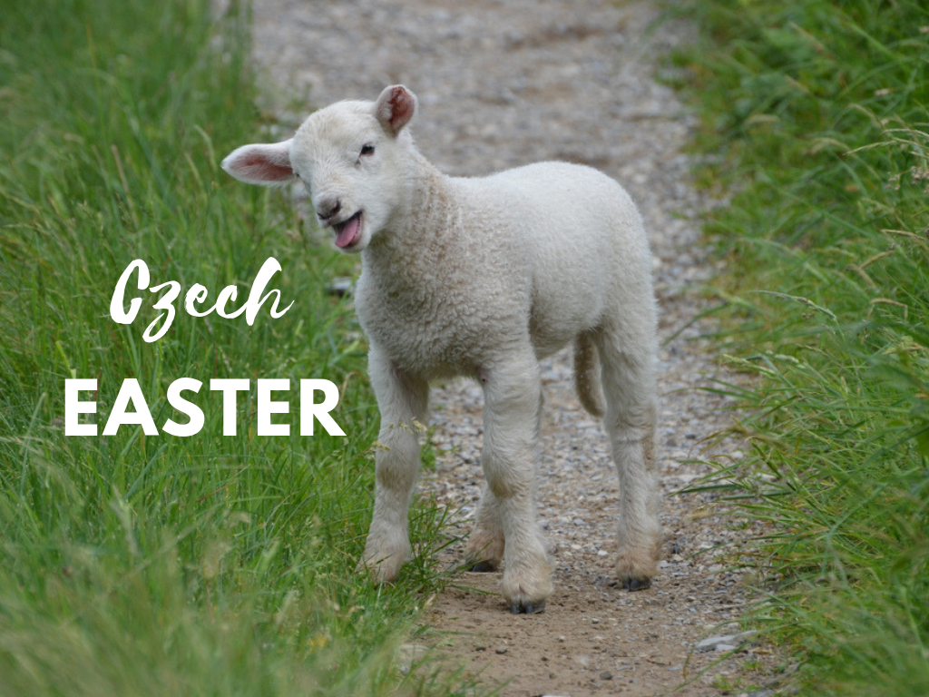 Czech Easter traditions: treats for whipping and pooping lamb